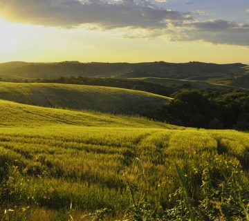 Op vakantie naar Italië, samen met de hond: bij deze vakantie-adresjes is jouw trouwe viervoeter welkom
